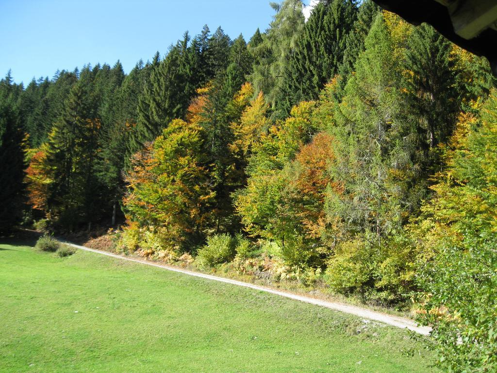 Hotel Alpenhof Strenge Birnbaum Exterior foto