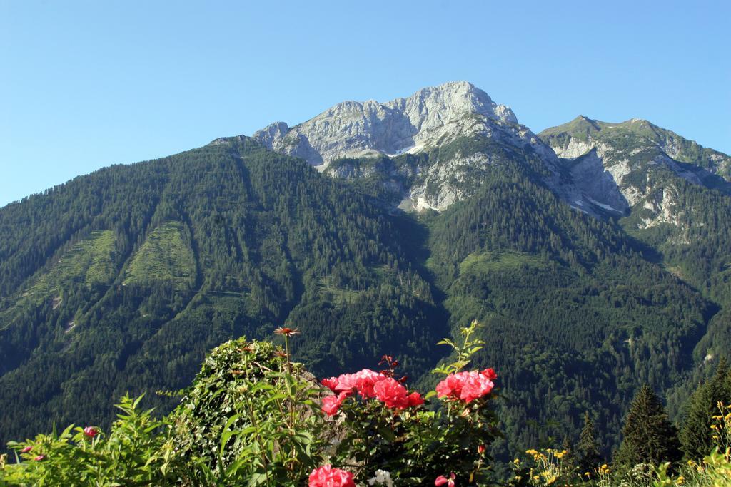 Hotel Alpenhof Strenge Birnbaum Exterior foto